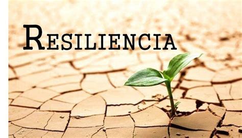 resiliencia definición pdf